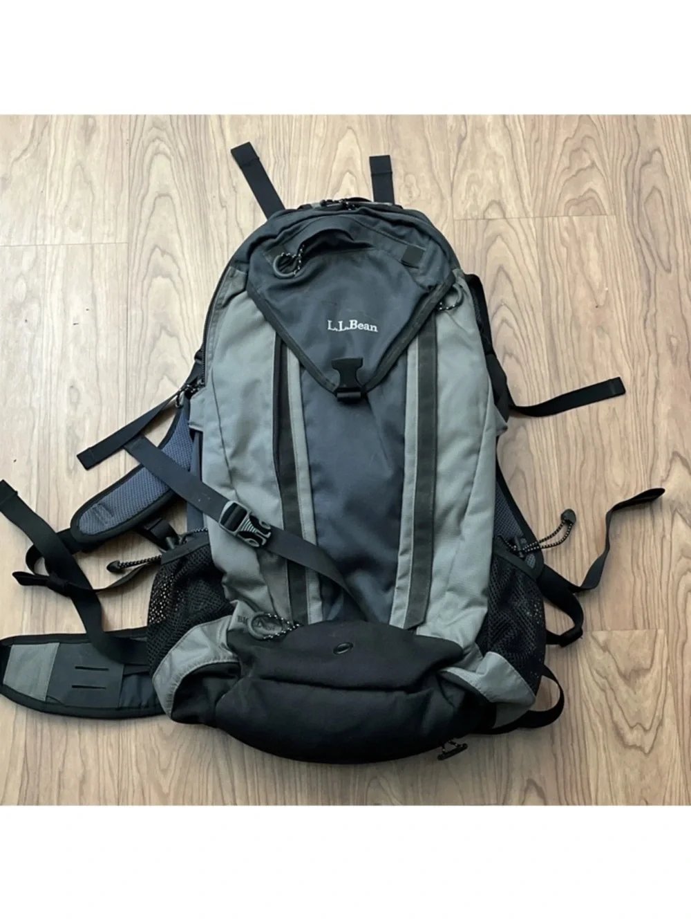L.L. Bean Bigelow H20 Hiking Backpack EUC